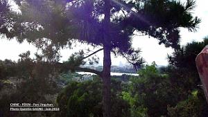 Pekin Jingshan 32